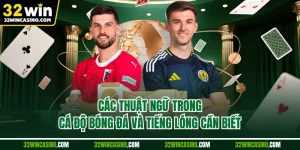 Các Thuật Ngữ Trong Cá Độ Bóng Đá Và Tiếng Lóng Cần Biết