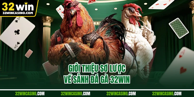Giới thiệu sơ lược về sảnh đá gà 32WIN